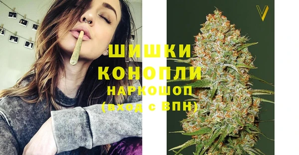 прущие грибы Баксан