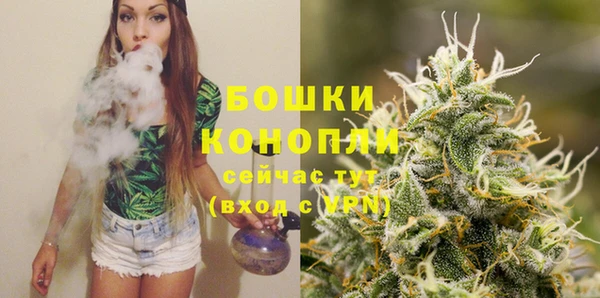 прущие грибы Баксан