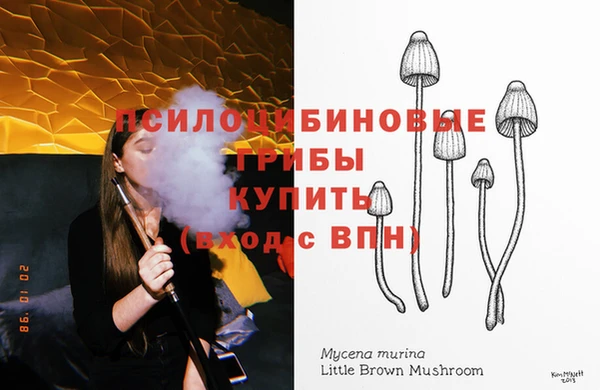 ECSTASY Балабаново
