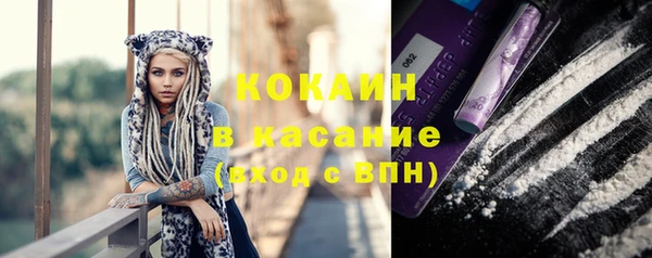 прущие грибы Баксан