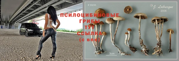 apvp Балахна