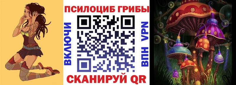 Псилоцибиновые грибы Cubensis Гай