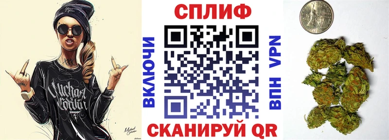 Конопля план Гай